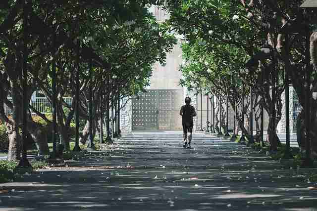 2024年吃瓜51绝密档案全档案